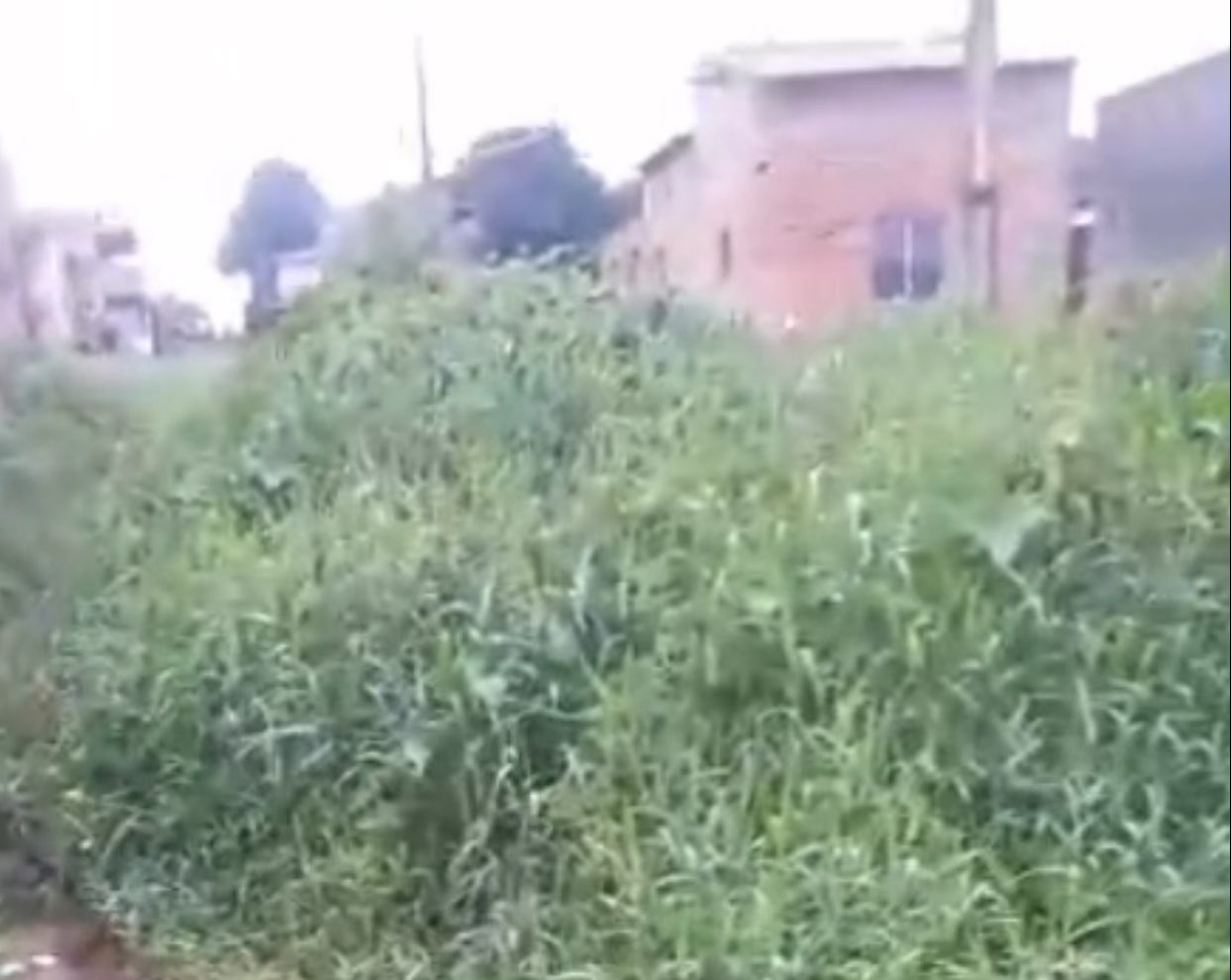 Estado de algumas ruas desmotiva ribamarenses a pagar altos valores de IPTU