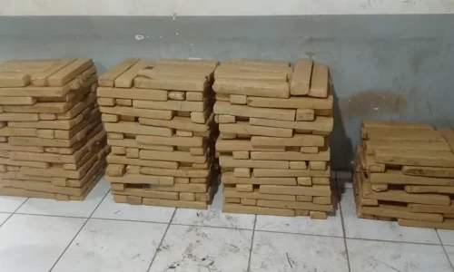Cerca de 500 kg de maconha são apreendidos dentro de caminhão em Paço do Lumiar — Foto: Divulgação/ PMMA
